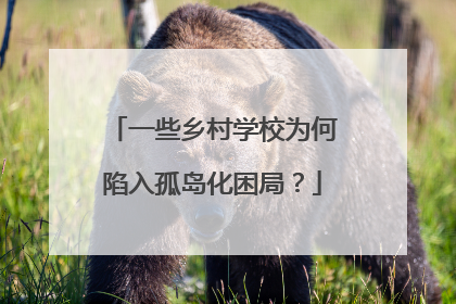 一些乡村学校为何陷入孤岛化困局？