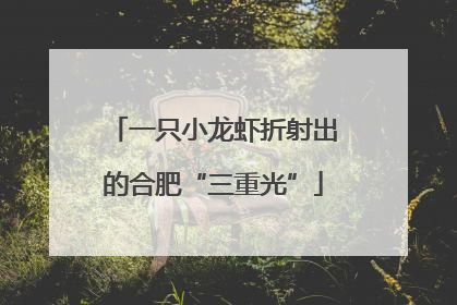 一只小龙虾折射出的合肥“三重光”