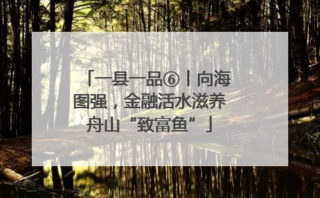 一县一品⑥丨向海图强，金融活水滋养舟山“致富鱼”
