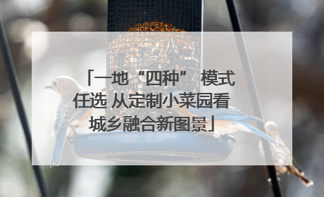 一地“四种” 模式任选 从定制小菜园看城乡融合新图景