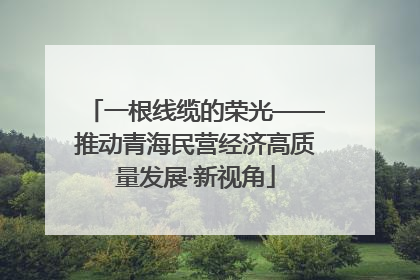 一根线缆的荣光——推动青海民营经济高质量发展·新视角