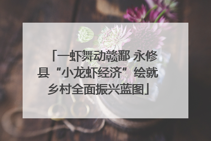 一虾舞动赣鄱 永修县“小龙虾经济”绘就乡村全面振兴蓝图