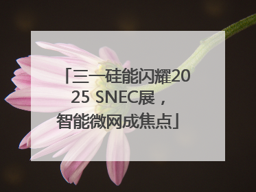 三一硅能闪耀2025 SNEC展，智能微网成焦点