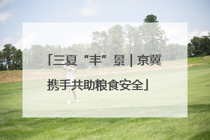 三夏“丰”景｜京冀携手共助粮食安全