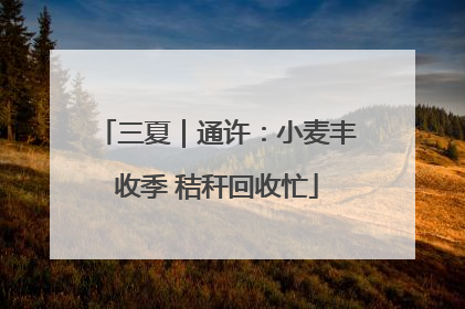三夏｜通许：小麦丰收季 秸秆回收忙