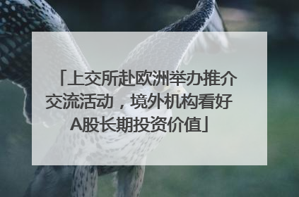 上交所赴欧洲举办推介交流活动，境外机构看好A股长期投资价值