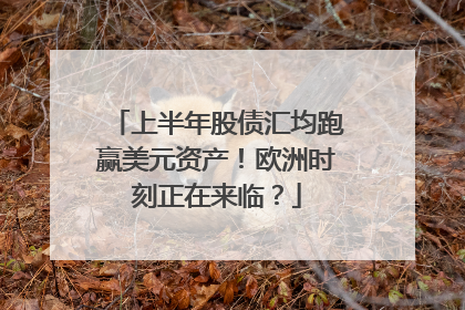上半年股债汇均跑赢美元资产！欧洲时刻正在来临？