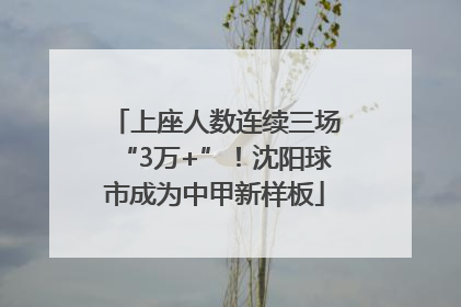 上座人数连续三场“3万+”！沈阳球市成为中甲新样板