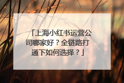 上海小红书运营公司哪家好？全链路打通下如何选择？