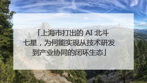 上海市打出的 AI 北斗七星，为何能实现从技术研发到产业协同的闭环生态