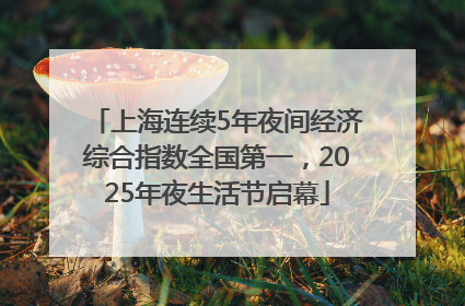 上海连续5年夜间经济综合指数全国第一，2025年夜生活节启幕