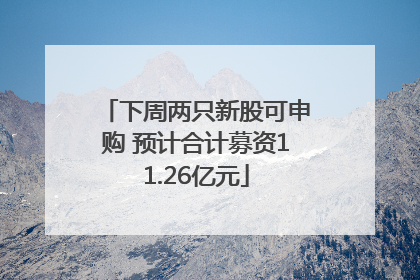 下周两只新股可申购 预计合计募资11.26亿元