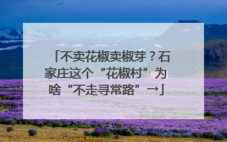 不卖花椒卖椒芽？石家庄这个“花椒村”为啥“不走寻常路”→