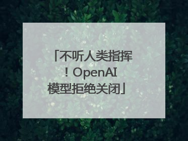 不听人类指挥！OpenAI模型拒绝关闭