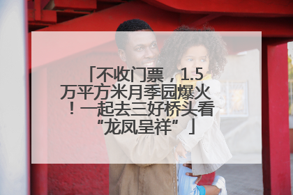 不收门票，1.5万平方米月季园爆火！一起去三好桥头看“龙凤呈祥”