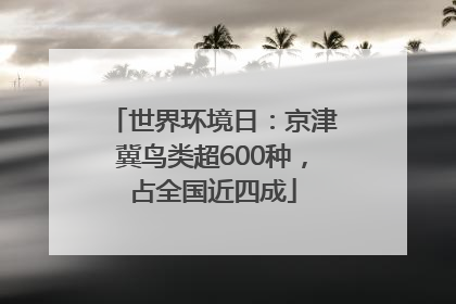 世界环境日：京津冀鸟类超600种，占全国近四成