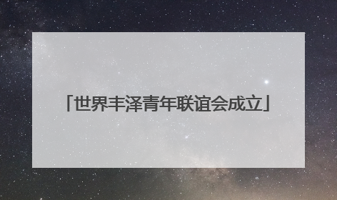 世界丰泽青年联谊会成立