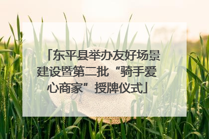 东平县举办友好场景建设暨第二批“骑手爱心商家”授牌仪式