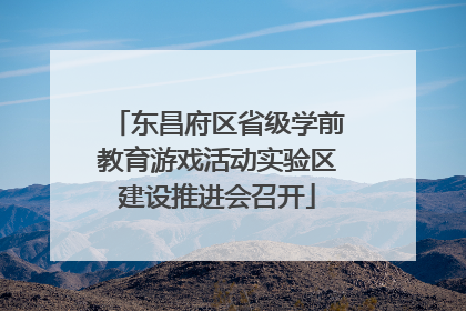 东昌府区省级学前教育游戏活动实验区建设推进会召开