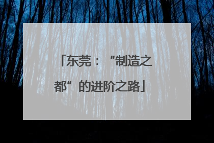 东莞：“制造之都”的进阶之路