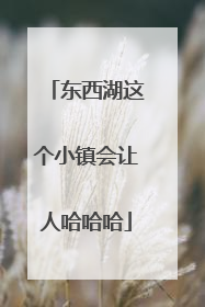 东西湖这个小镇会让人哈哈哈