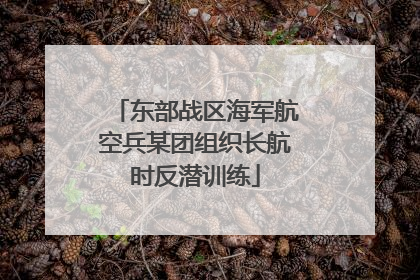 东部战区海军航空兵某团组织长航时反潜训练