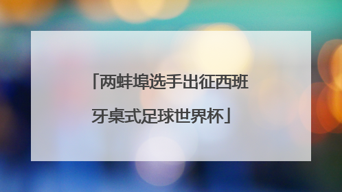 两蚌埠选手出征西班牙桌式足球世界杯
