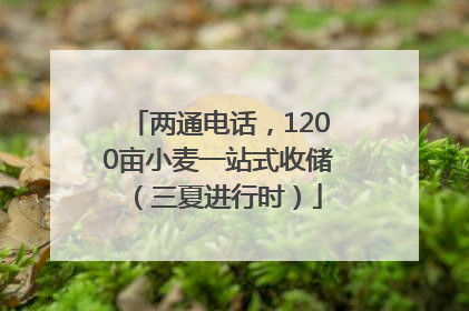 两通电话，1200亩小麦一站式收储（三夏进行时）