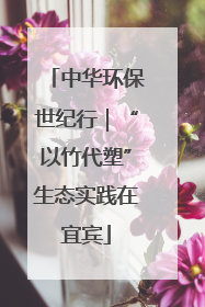 中华环保世纪行｜“以竹代塑”生态实践在宜宾