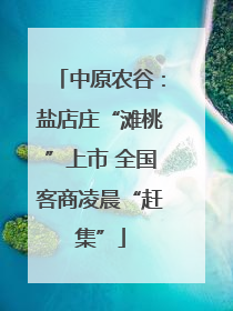 中原农谷：盐店庄“滩桃”上市 全国客商凌晨“赶集”