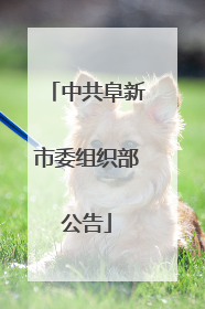 中共阜新市委组织部公告