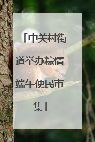 中关村街道举办粽情端午便民市集