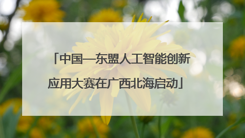 中国—东盟人工智能创新应用大赛在广西北海启动