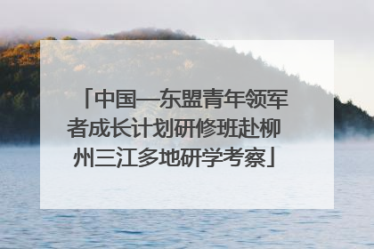 中国—东盟青年领军者成长计划研修班赴柳州三江多地研学考察