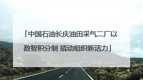 中国石油长庆油田采气二厂以数智积分制 撬动组织新活力