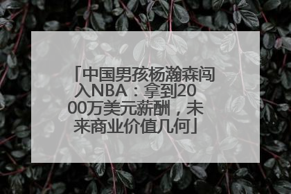 中国男孩杨瀚森闯入NBA：拿到2000万美元薪酬，未来商业价值几何