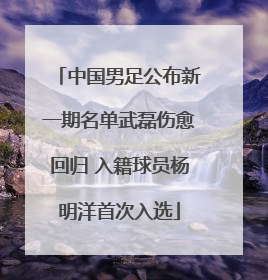 中国男足公布新一期名单武磊伤愈回归 入籍球员杨明洋首次入选