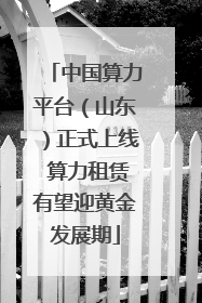 中国算力平台（山东）正式上线 算力租赁有望迎黄金发展期
