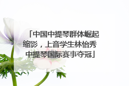 中国中提琴群体崛起缩影，上音学生林怡秀中提琴国际赛事夺冠
