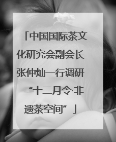 中国国际茶文化研究会副会长张仲灿一行调研“十二月令·非遗茶空间”