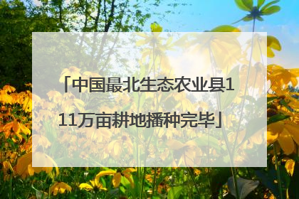 中国最北生态农业县111万亩耕地播种完毕