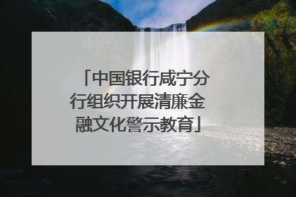 中国银行咸宁分行组织开展清廉金融文化警示教育
