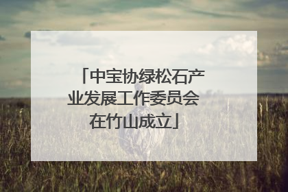 中宝协绿松石产业发展工作委员会在竹山成立