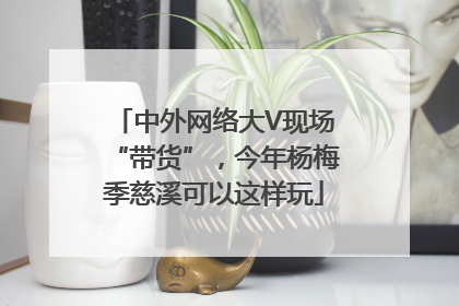 中外网络大V现场“带货”，今年杨梅季慈溪可以这样玩