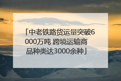 中老铁路货运量突破6000万吨 跨境运输商品种类达3000余种