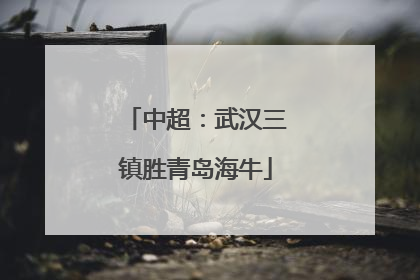 中超：武汉三镇胜青岛海牛