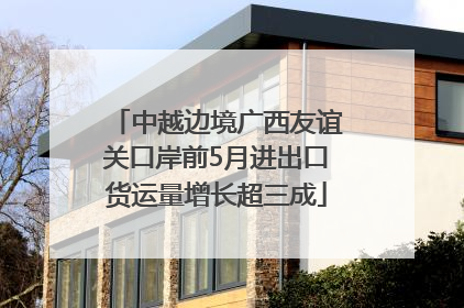 中越边境广西友谊关口岸前5月进出口货运量增长超三成