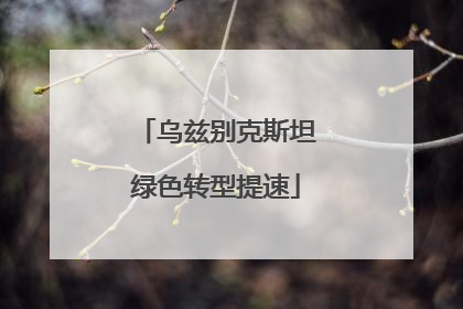 乌兹别克斯坦绿色转型提速