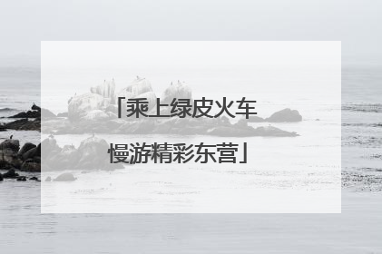 乘上绿皮火车 慢游精彩东营