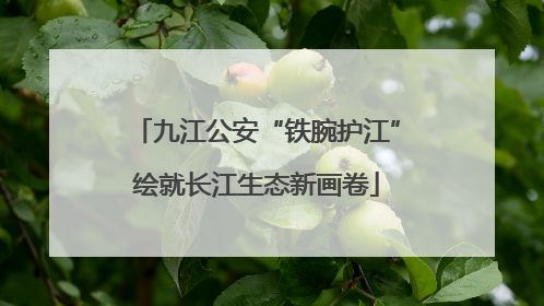 九江公安“铁腕护江”绘就长江生态新画卷